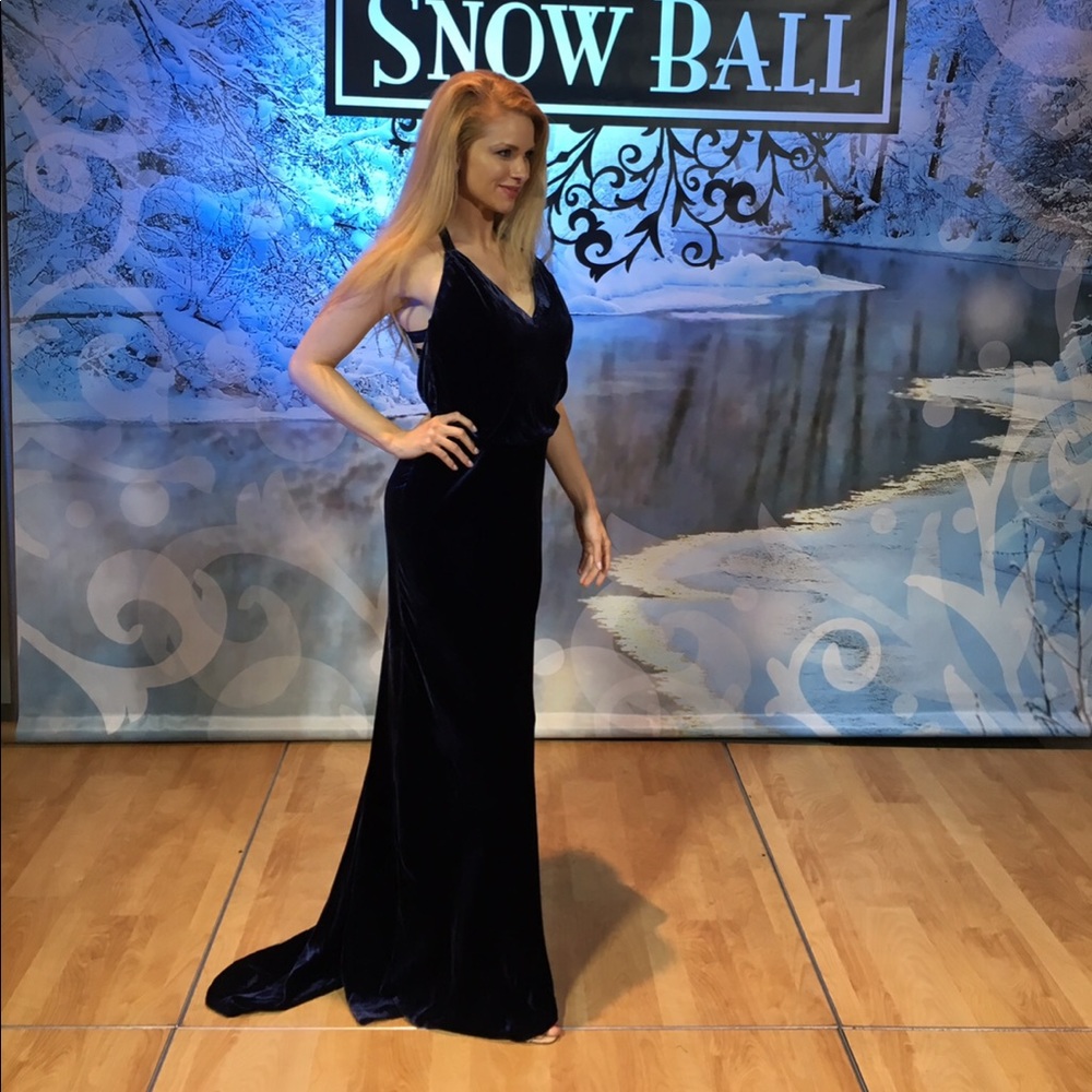 BCBG Blue Velvet Train Dress